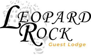 Leopard Rock